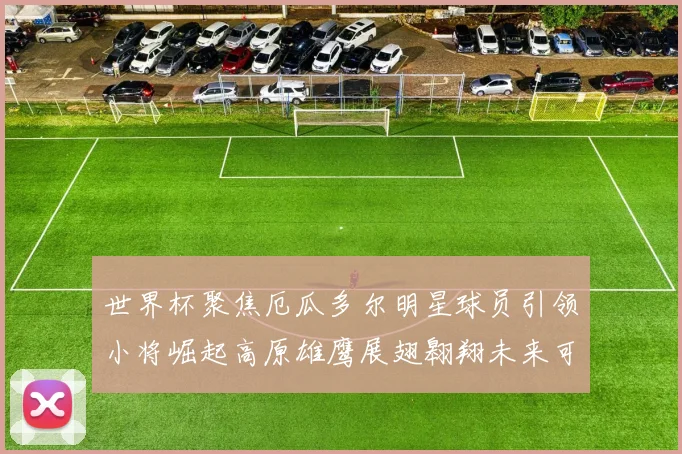 世界杯聚焦厄瓜多尔明星球员引领小将崛起高原雄鹰展翅翱翔未来可期